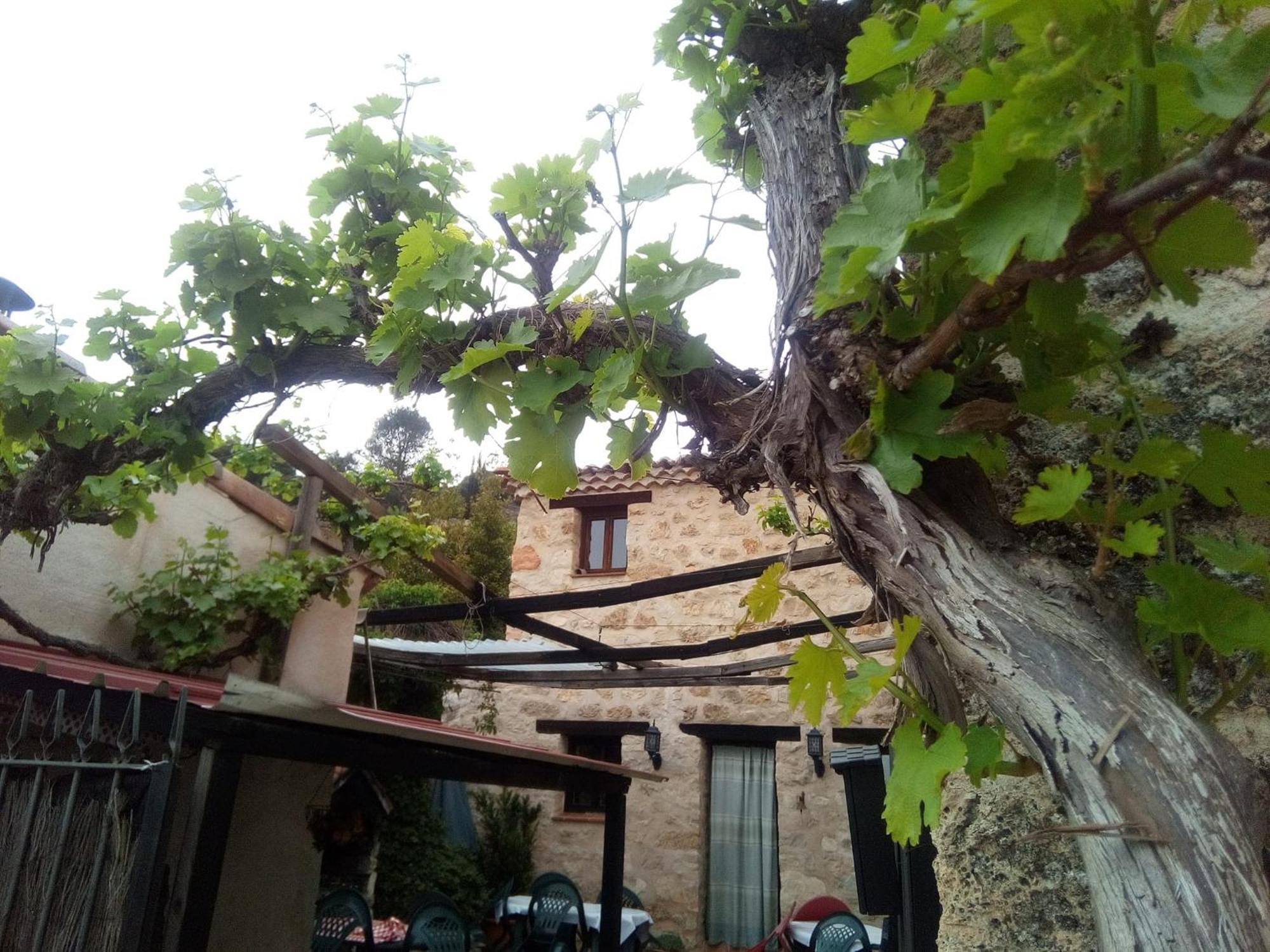 Posada del Dulce Sueño Mojares Exterior foto